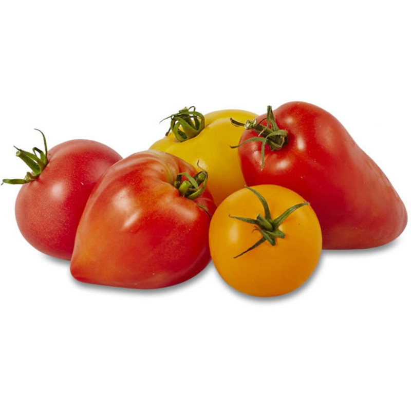 TOMATE SAVEUR D`ANTAN 4,5KG